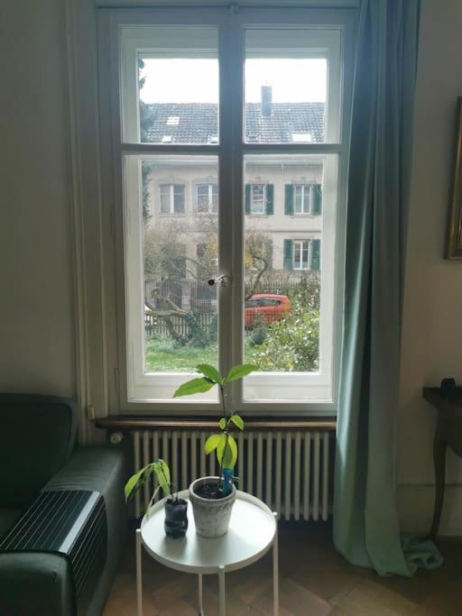 Beautiful Central Apartment Bern Exterior photo